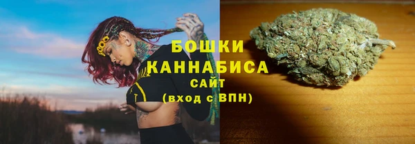 гашик Зерноград
