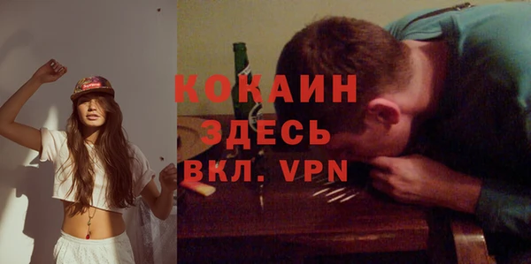 гидропоника Инта