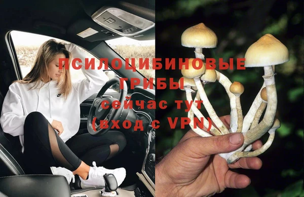 гашик Иннополис