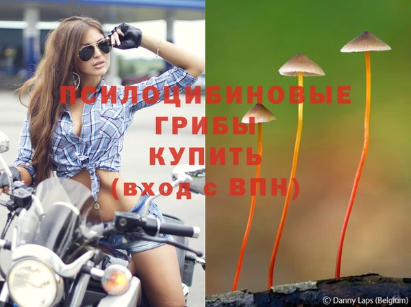 винт Зеленокумск