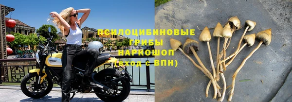 ALPHA PVP Инсар