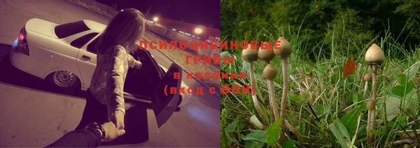 гашик Иннополис