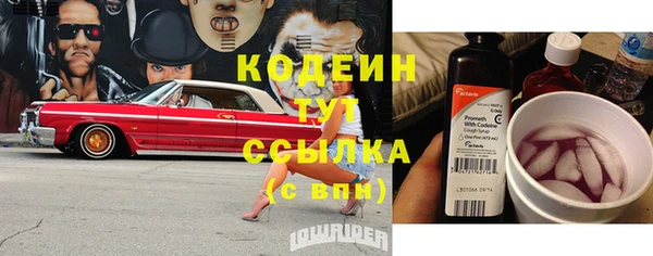 гидропоника Инта