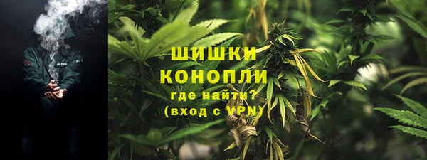 гашик Зерноград